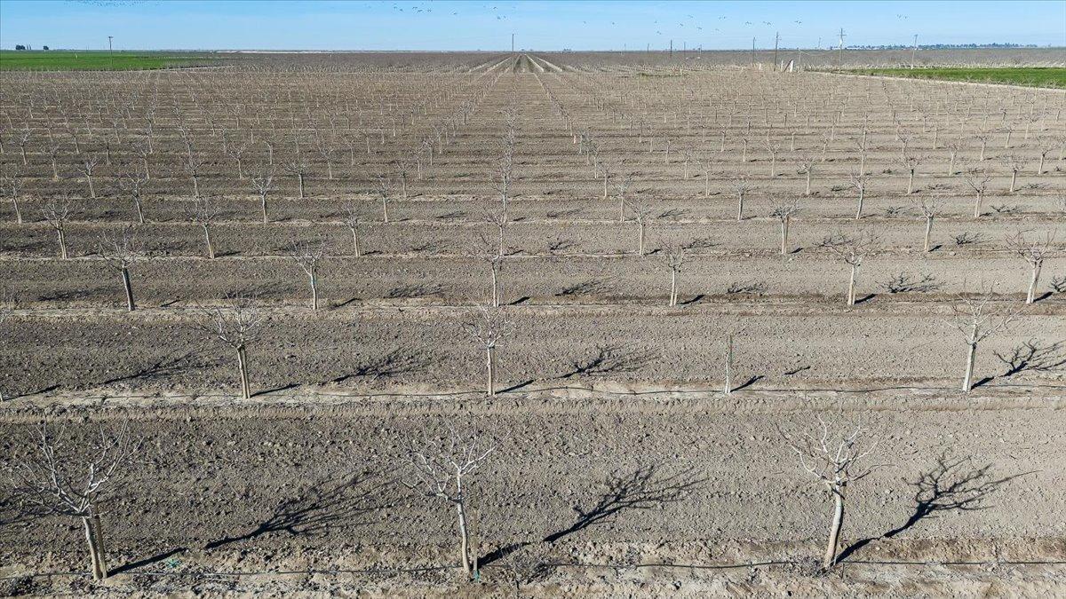 Chowchilla, California 93610, United States, ,Land,Active,7068