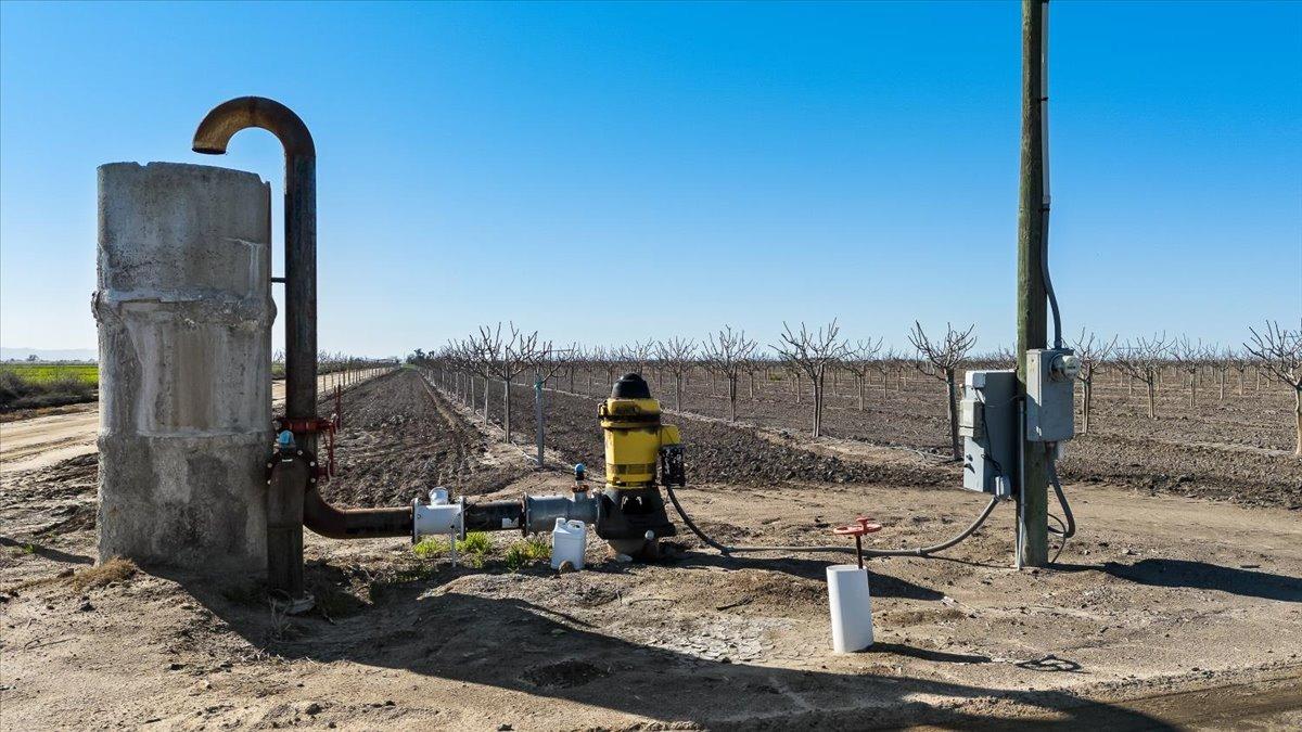 Chowchilla, California 93610, United States, ,Land,Active,7068