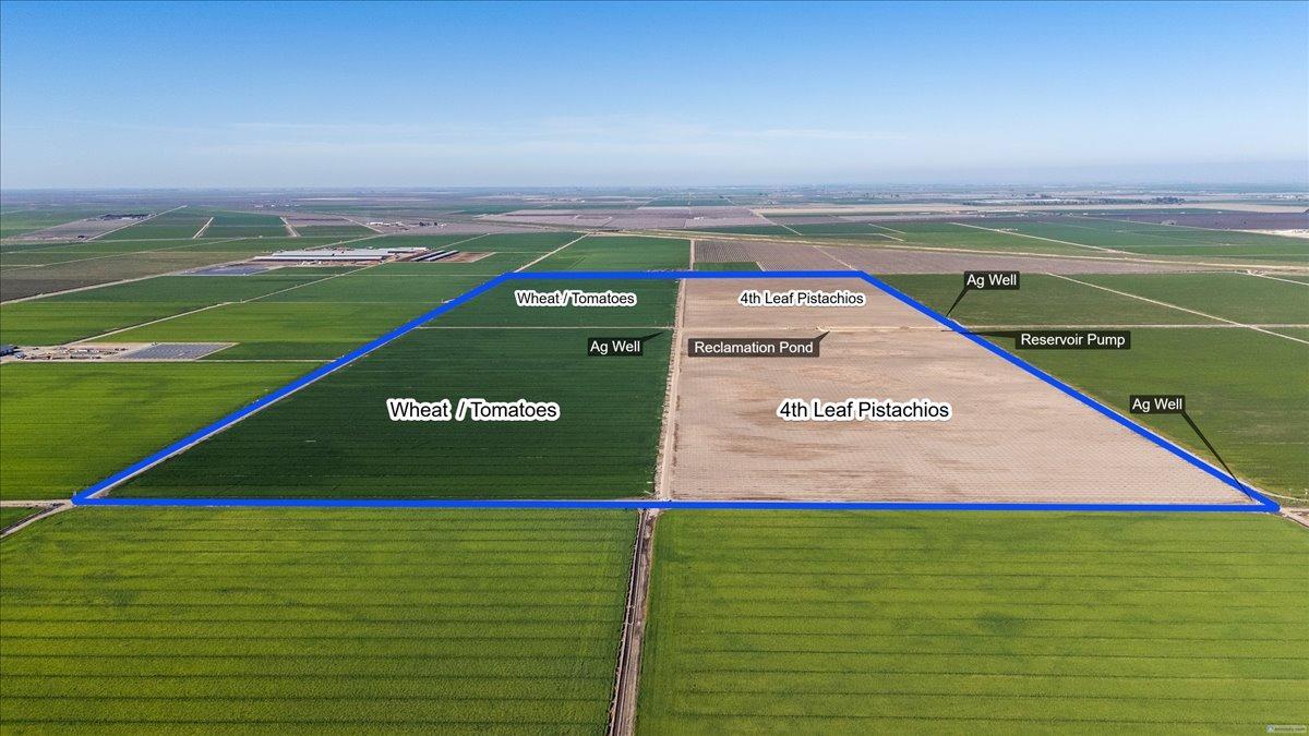 Chowchilla, California 93610, United States, ,Land,Active,7068