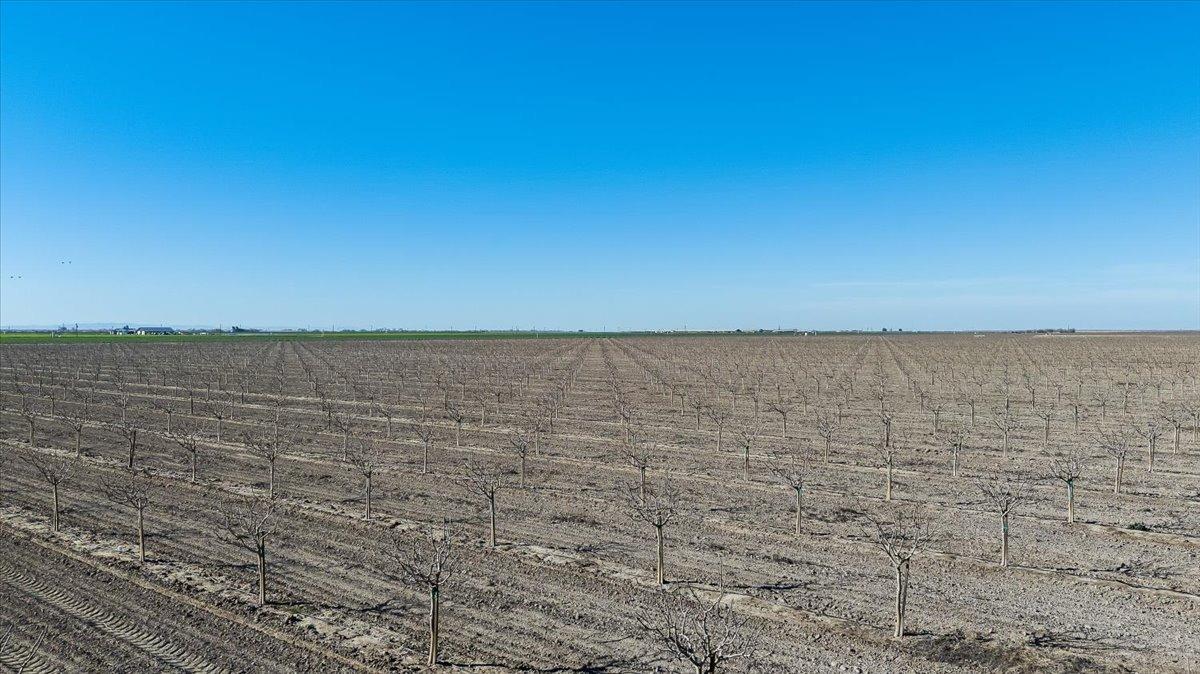 Chowchilla, California 93610, United States, ,Land,Active,7068