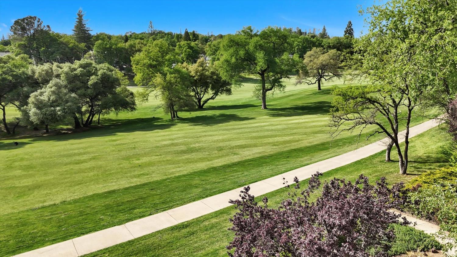 12448 Lake Wildwood Drive