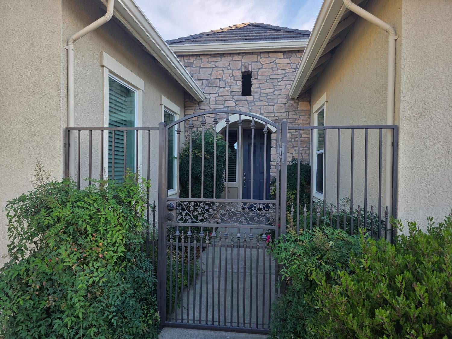 5661 Black Willow Street