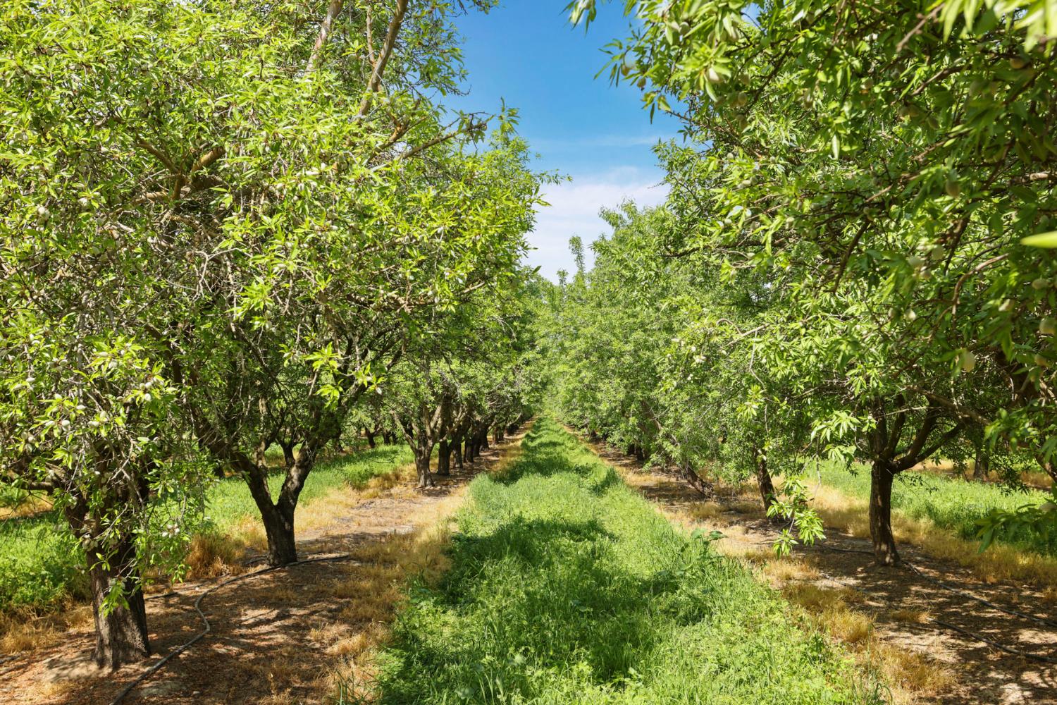 4866 E Roosevelt Road