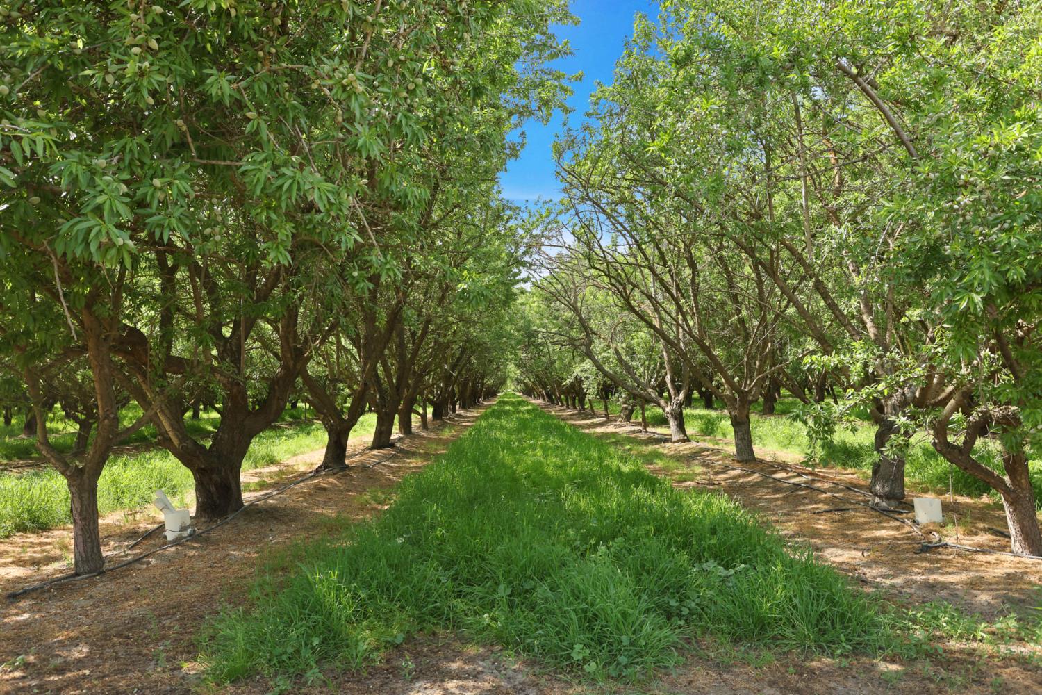 4866 E Roosevelt Road