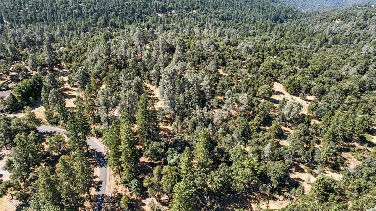 9030 Orval Beckett Court