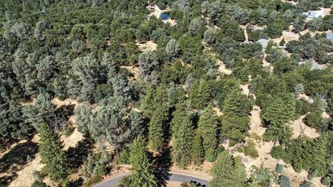 9030 Orval Beckett Court Placerville CA 95667