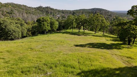MLS: 225043404