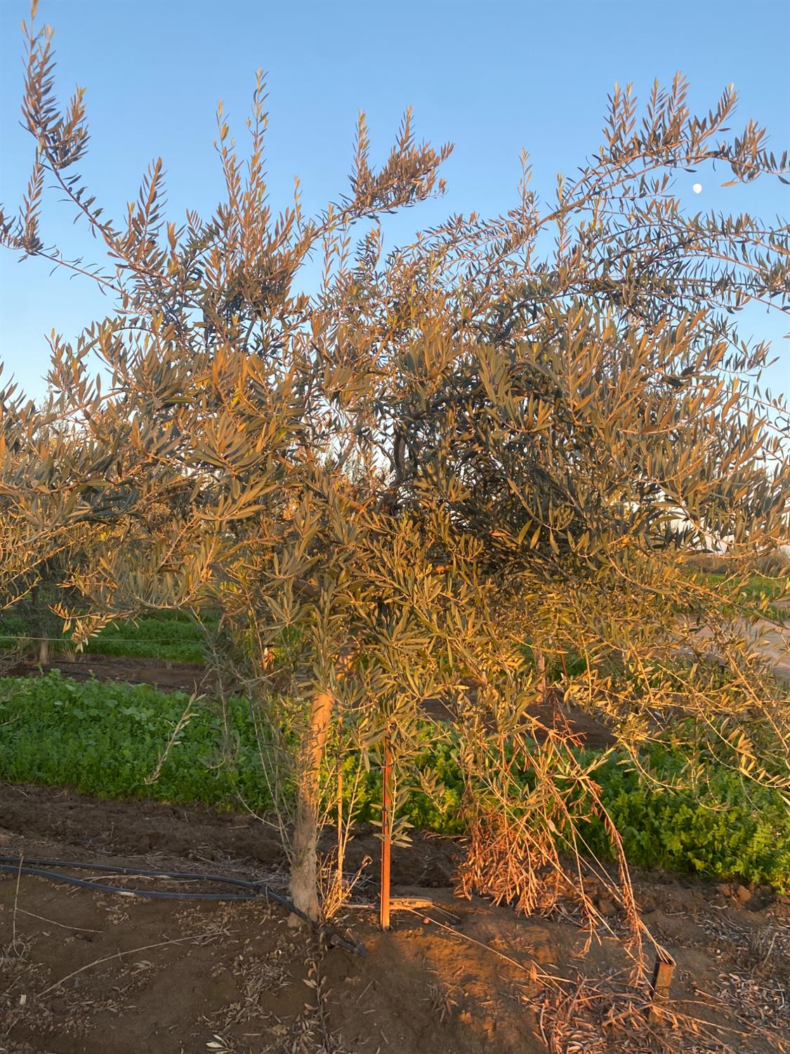 23181 N Devries Road