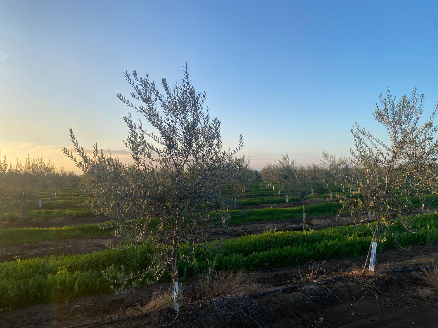 23181 N Devries Road