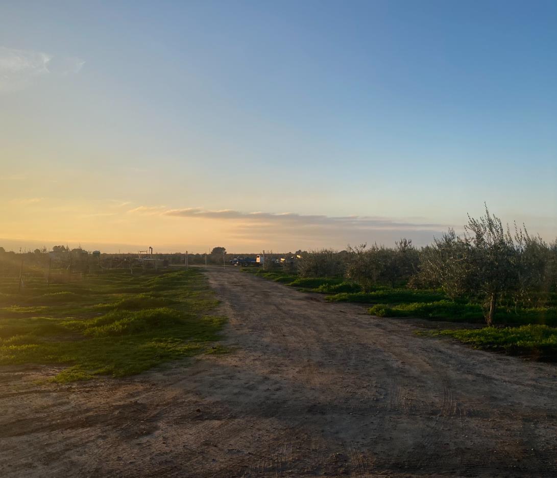 23181 N Devries Road