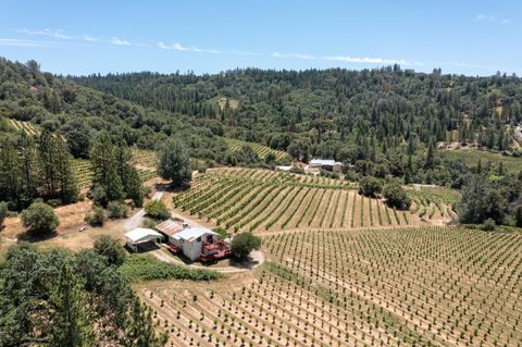 8221 Stoney Creek Road, Somerset, CA 95684 - MLS#: 222080803