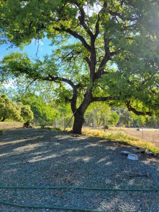 6340 Crystal Boulevard