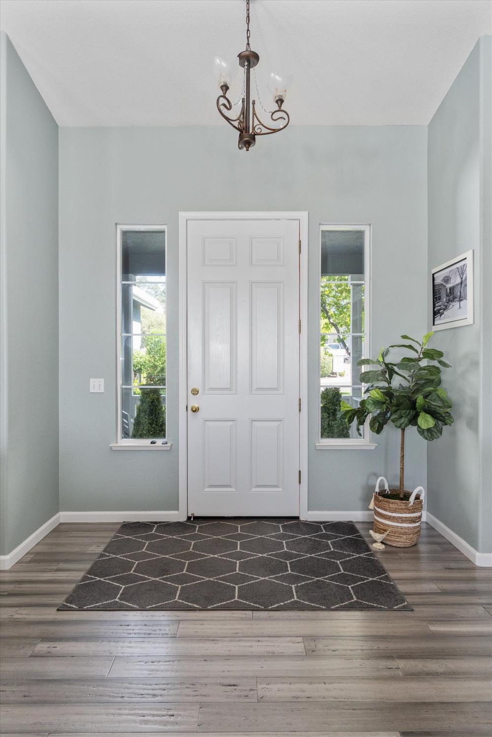 580 Live Oak Drive