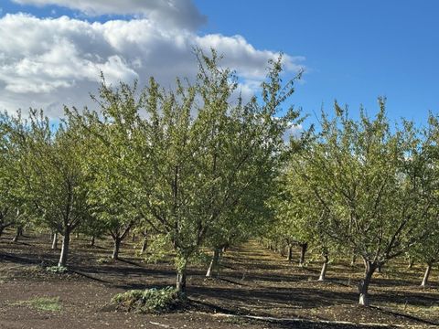 0 Striplin Road Pleasant Grove CA 95668