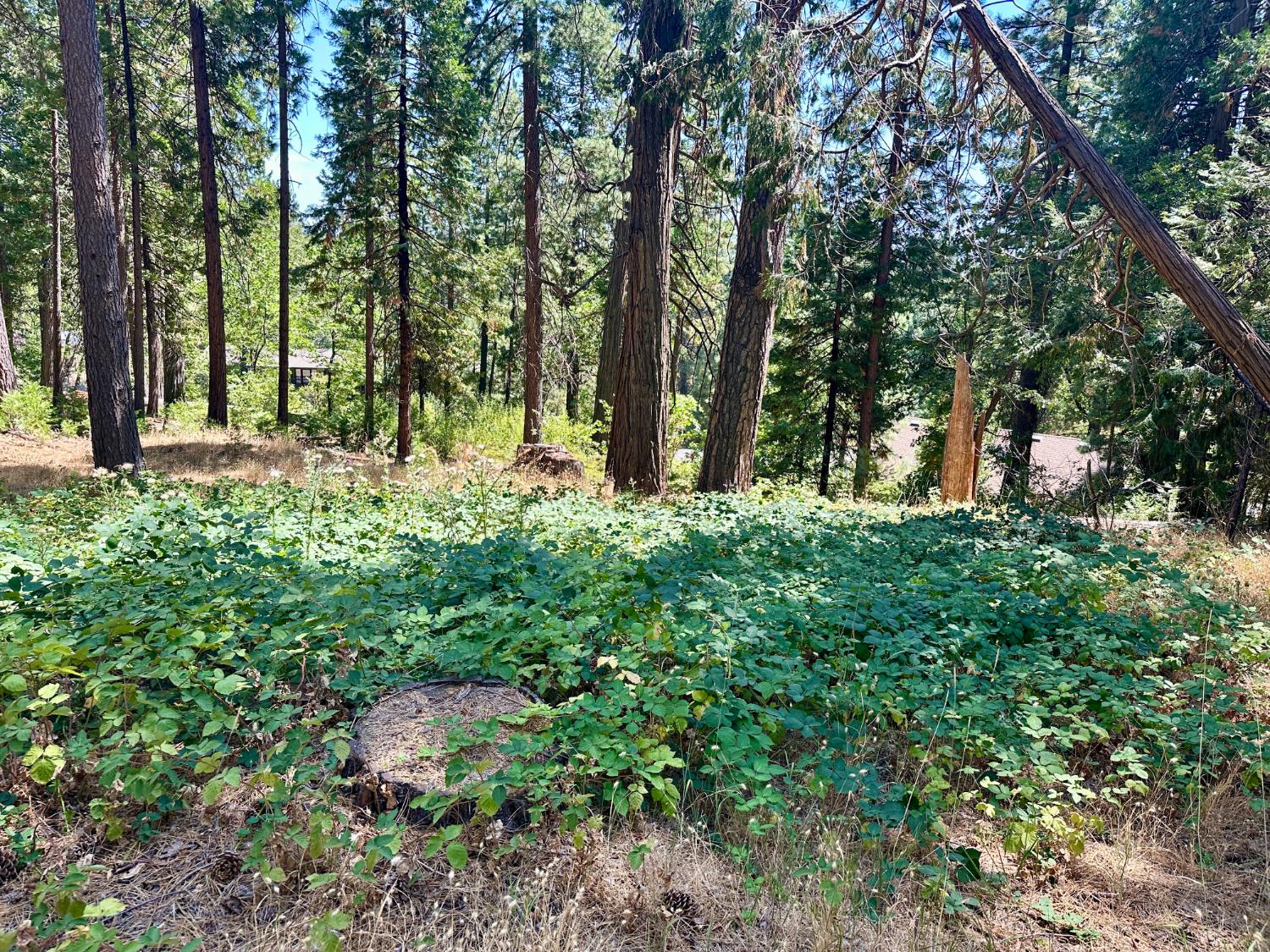 2659 Valley View Drive