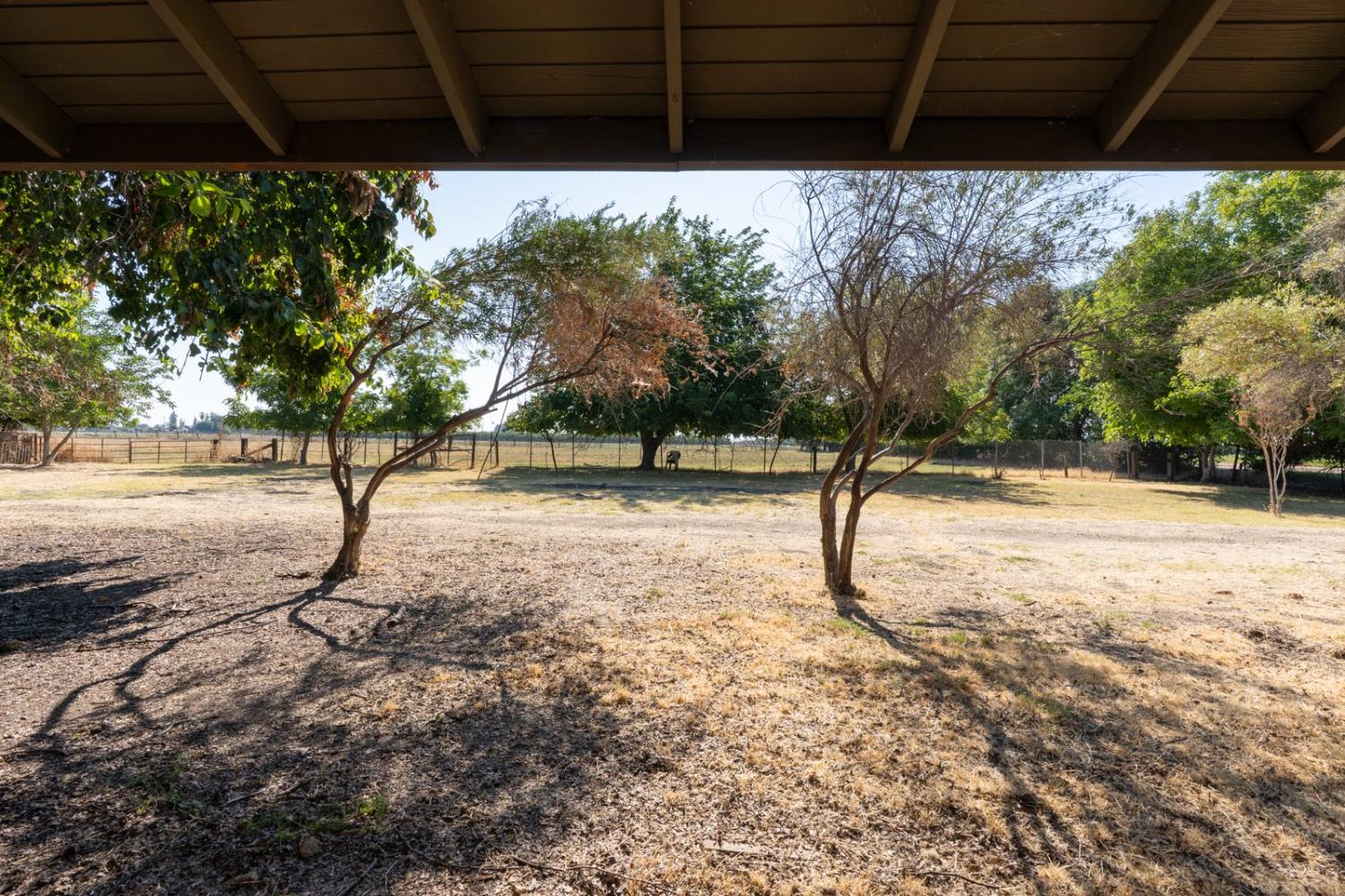 Dos Palos, California 93620, United States, 3 Bedrooms Bedrooms, ,2 BathroomsBathrooms,Residential,Active,170141