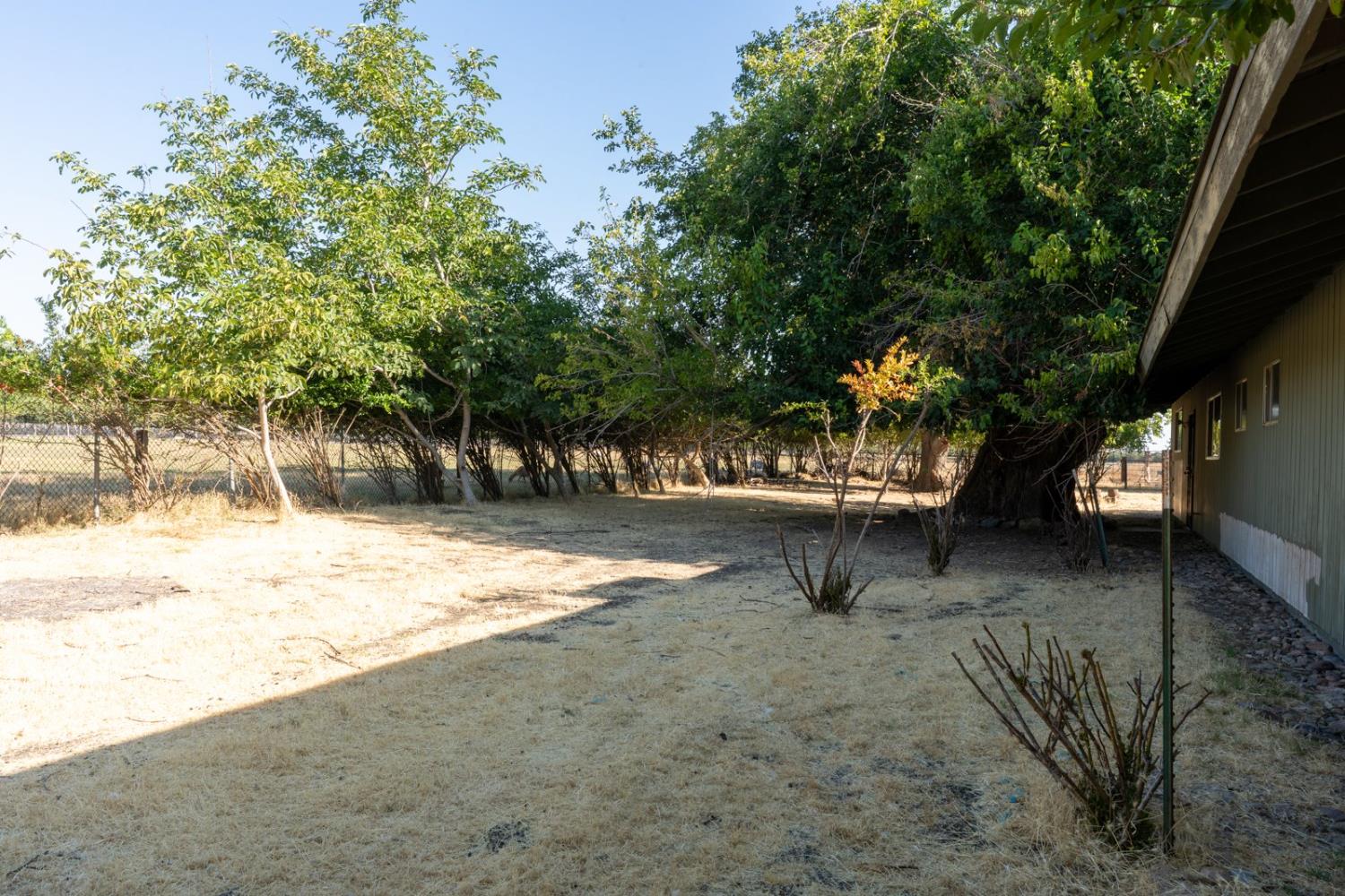 Dos Palos, California 93620, United States, 3 Bedrooms Bedrooms, ,2 BathroomsBathrooms,Residential,Active,170141