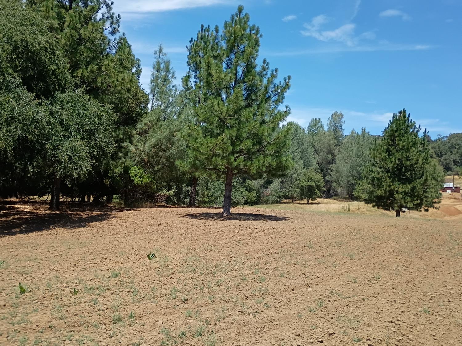 2629 Shilo Drive