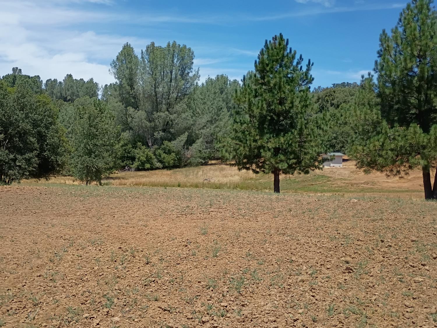 2629 Shilo Drive