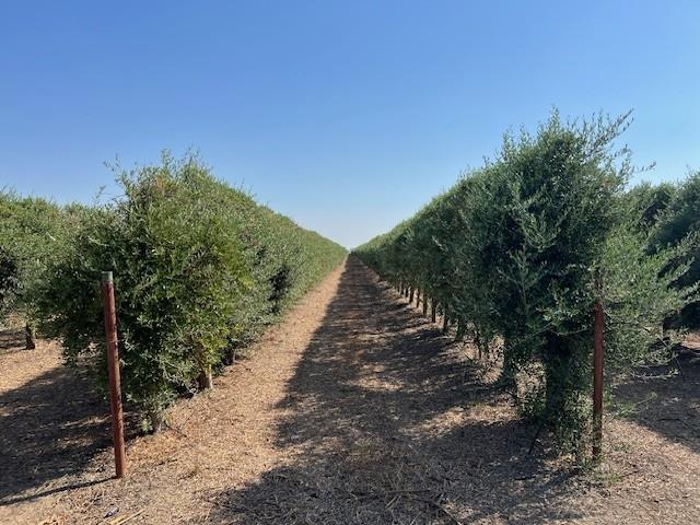 20456 County Road 103