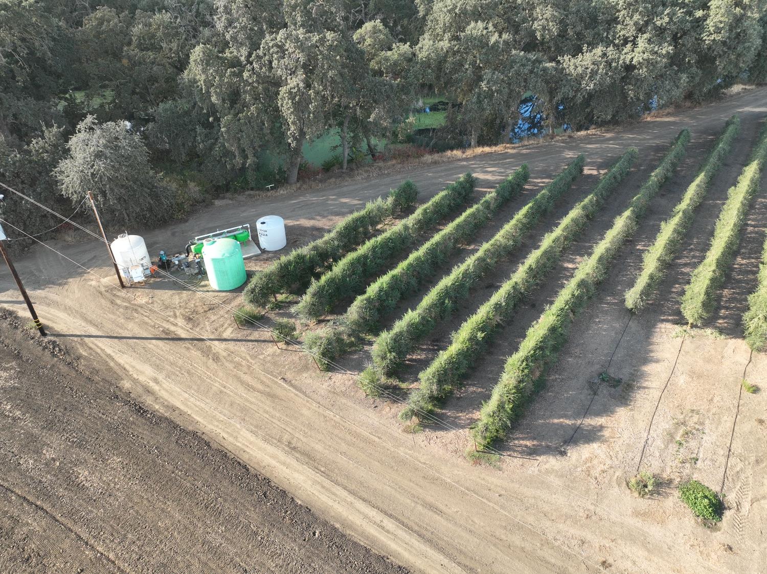 20456 County Road 103