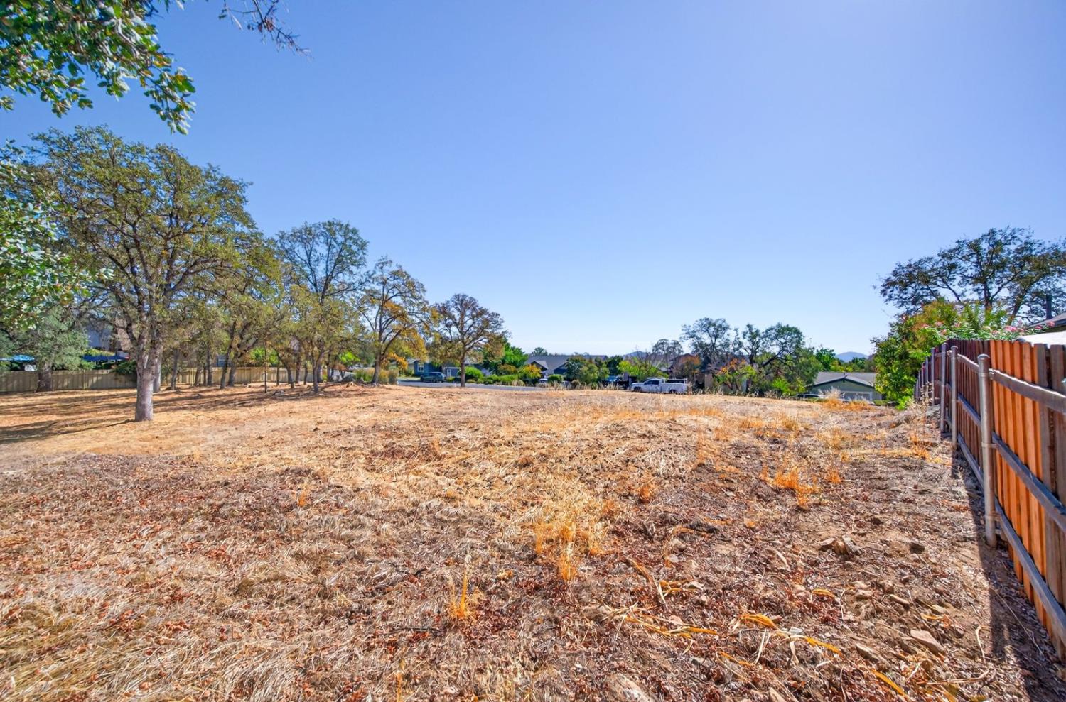 567 Live Oak Drive