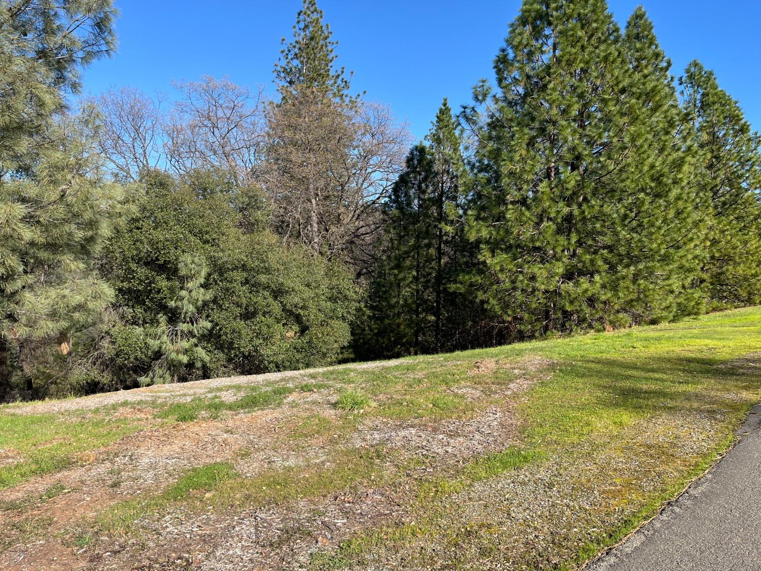 23717 Darkhorse Drive