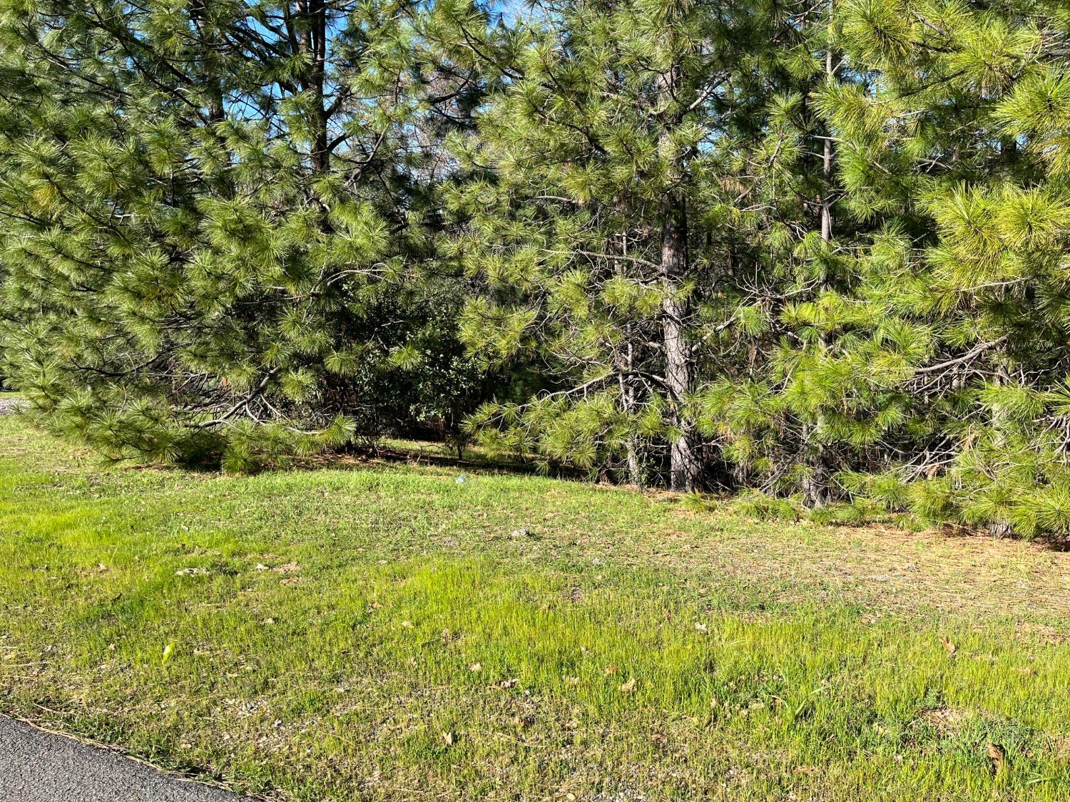 23717 Darkhorse Drive