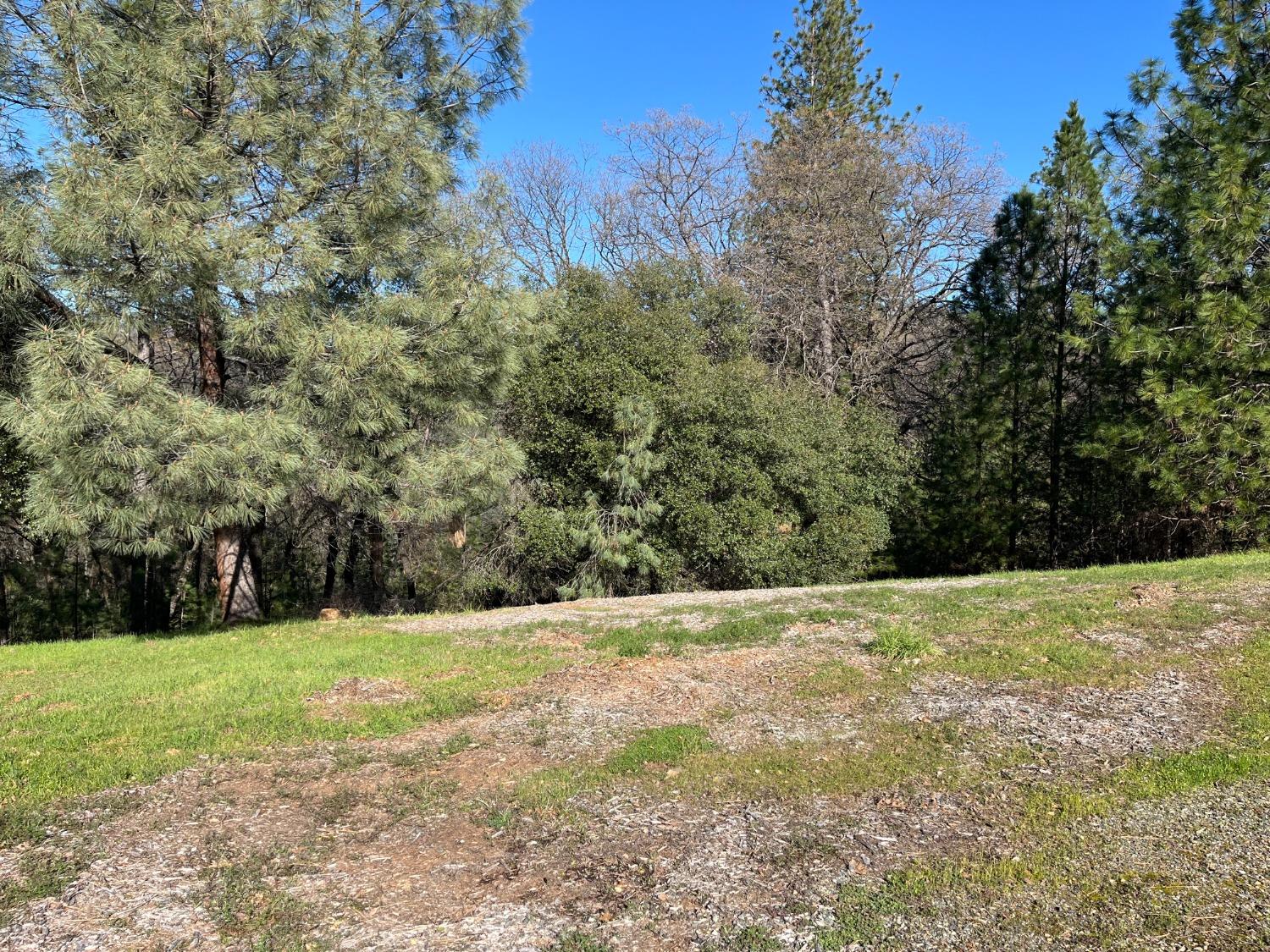 23717 Darkhorse Drive