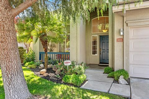 4025 Wheeler Peak Way Modesto CA 95356