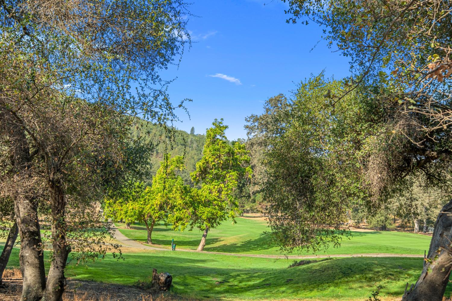 1663 Glen Drive