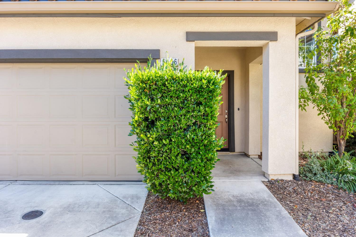 6406 Brando Loop