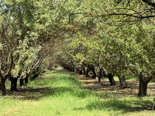 YOSEMITE BLVD, MODESTO, CA 95357 - Image 7d39a89bb85804ee100b8e3cb66963e5/1450347709