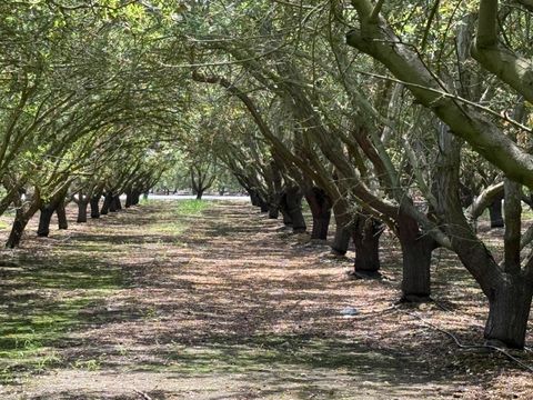 0 Yosemite Blvd. Boulevard Modesto CA 95357