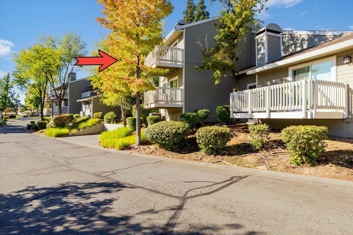 161 Valley Oak Drive 15