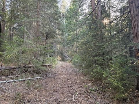MLS: 225058187