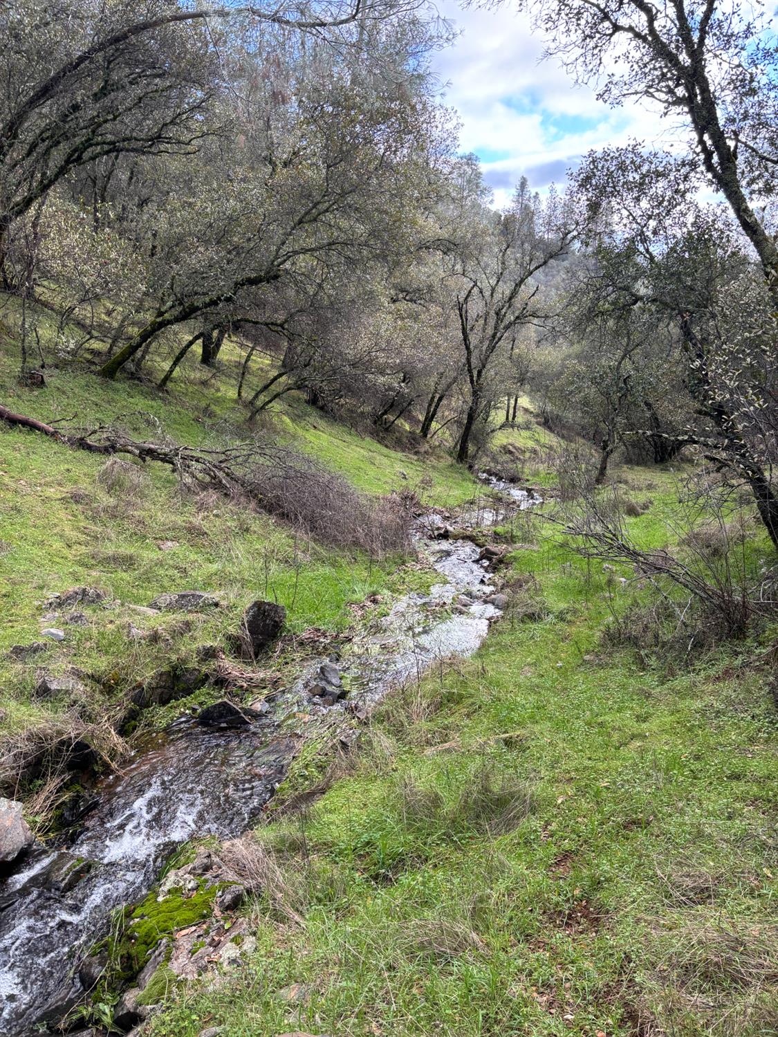 6340 Roller Coaster Road