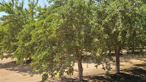 19100 County Road 86A Esparto CA 95627