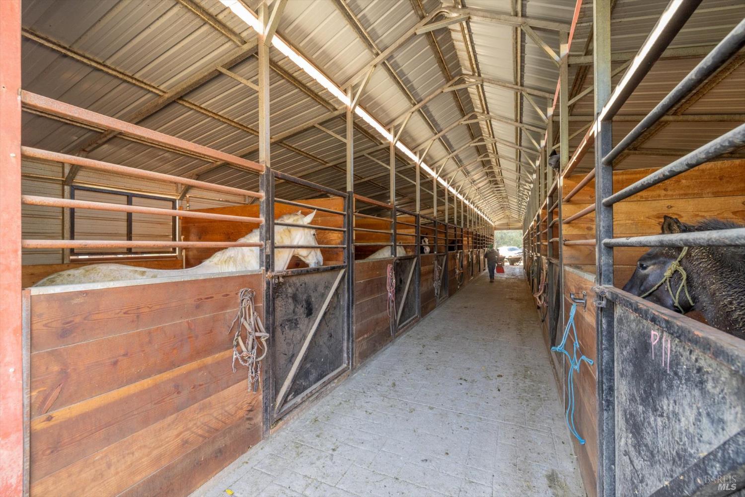 3455 Laguna Creek Trail