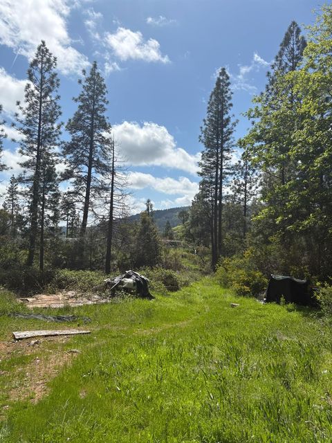 MLS: 225049874