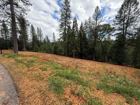 MLS: 225059076