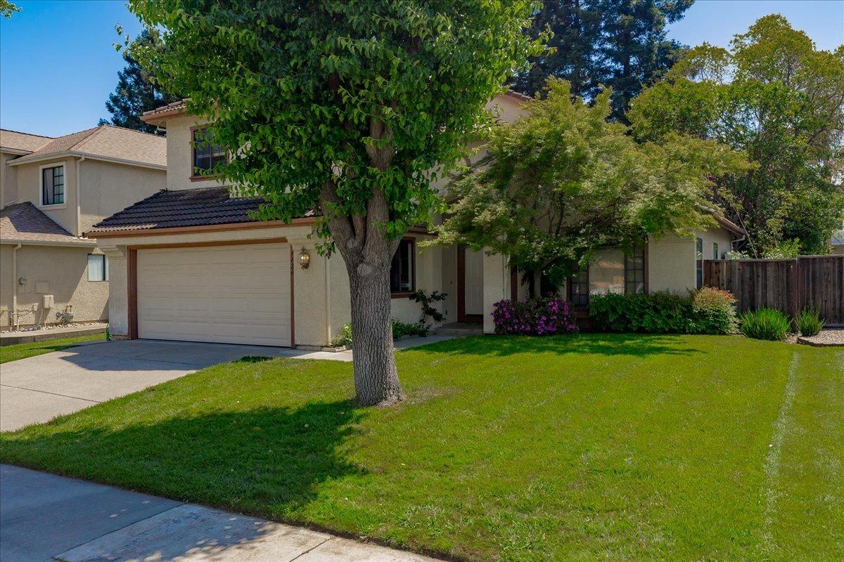 7426 Brandamore Court