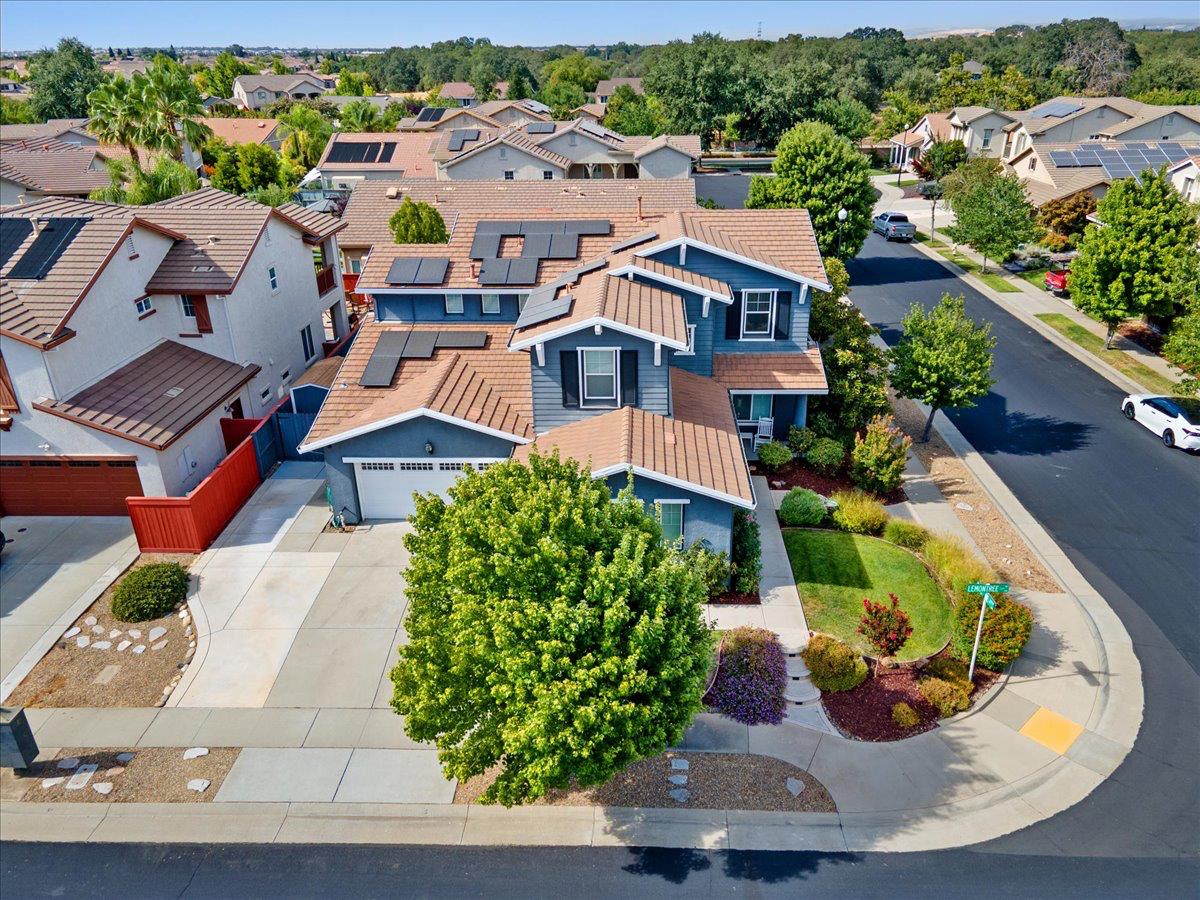 2133 Lemontree Way