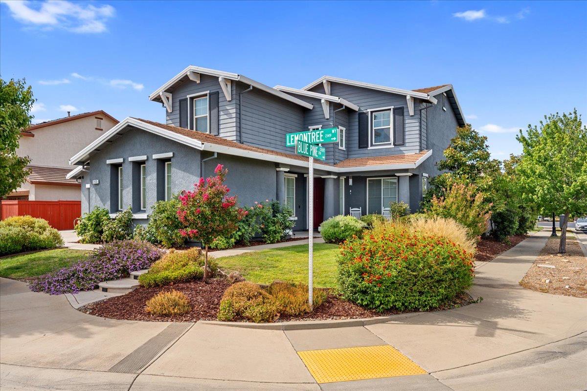 2133 Lemontree Way