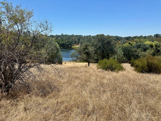 6536 MCCAULEY RD, VALLEY SPRINGS, CA 95252 - Image 7fc062d403fb53bb17ae3bfd73b68b84/4152552368
