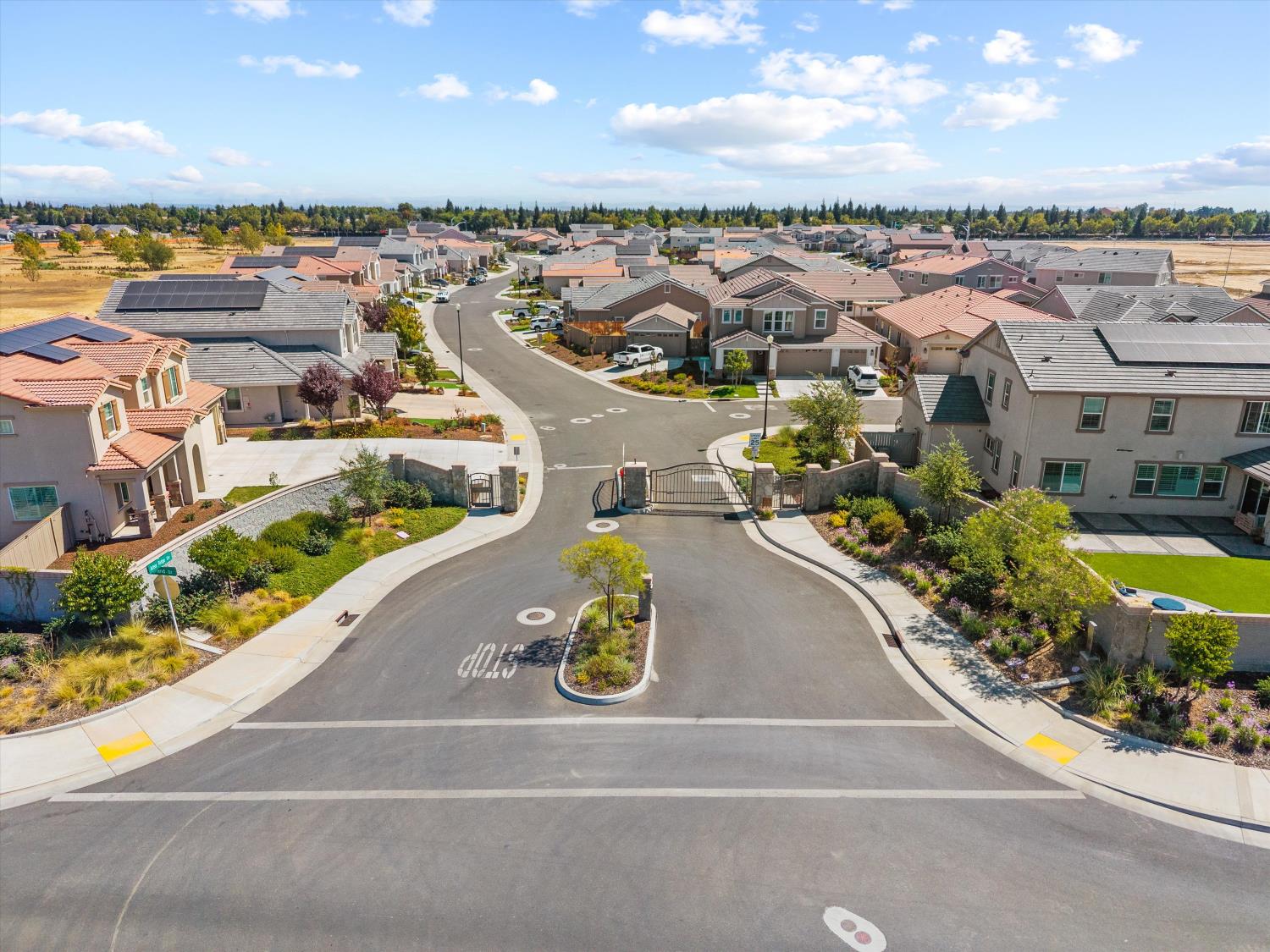 3120 Shasta Daisy Circle