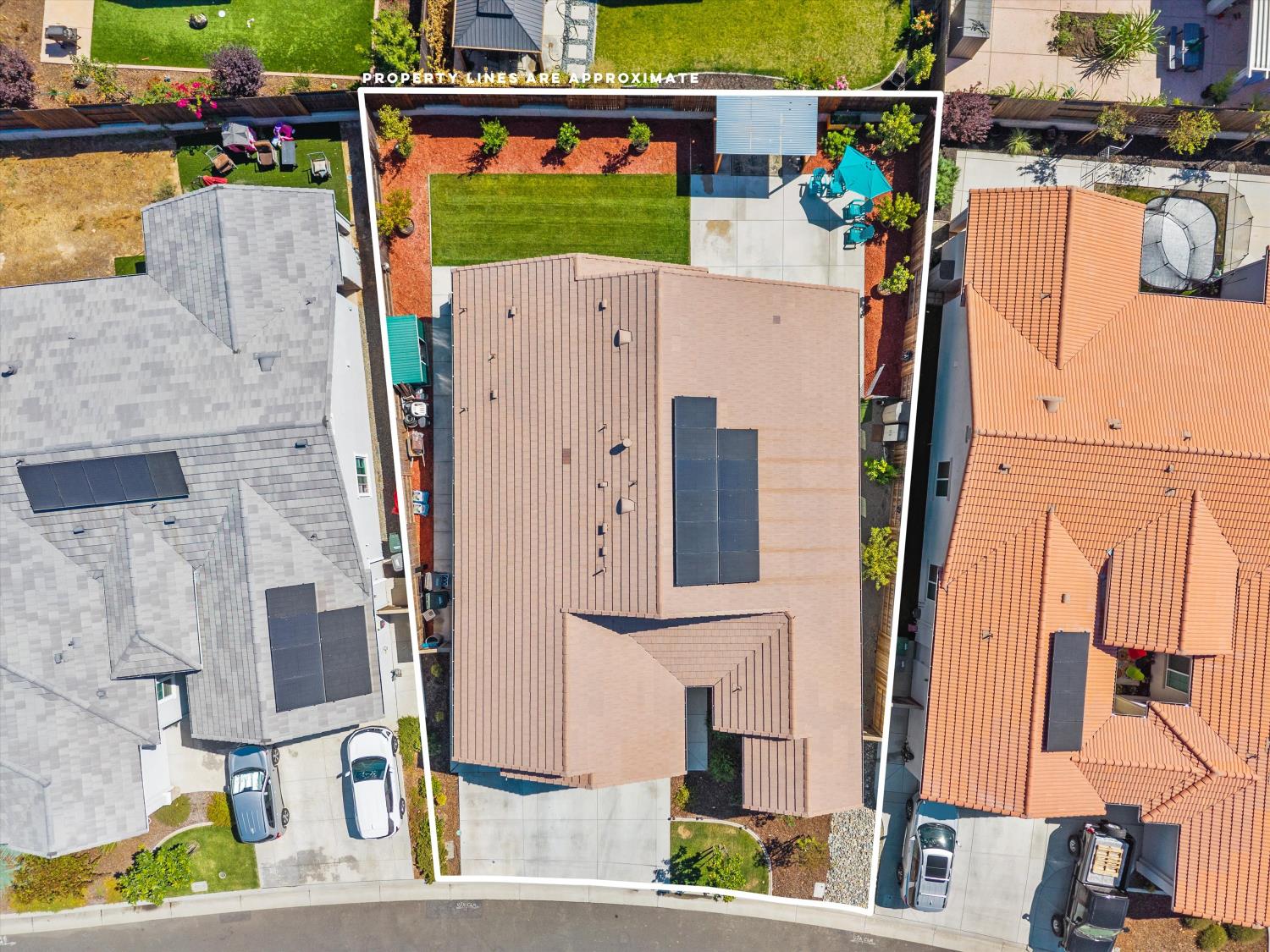 3120 Shasta Daisy Circle