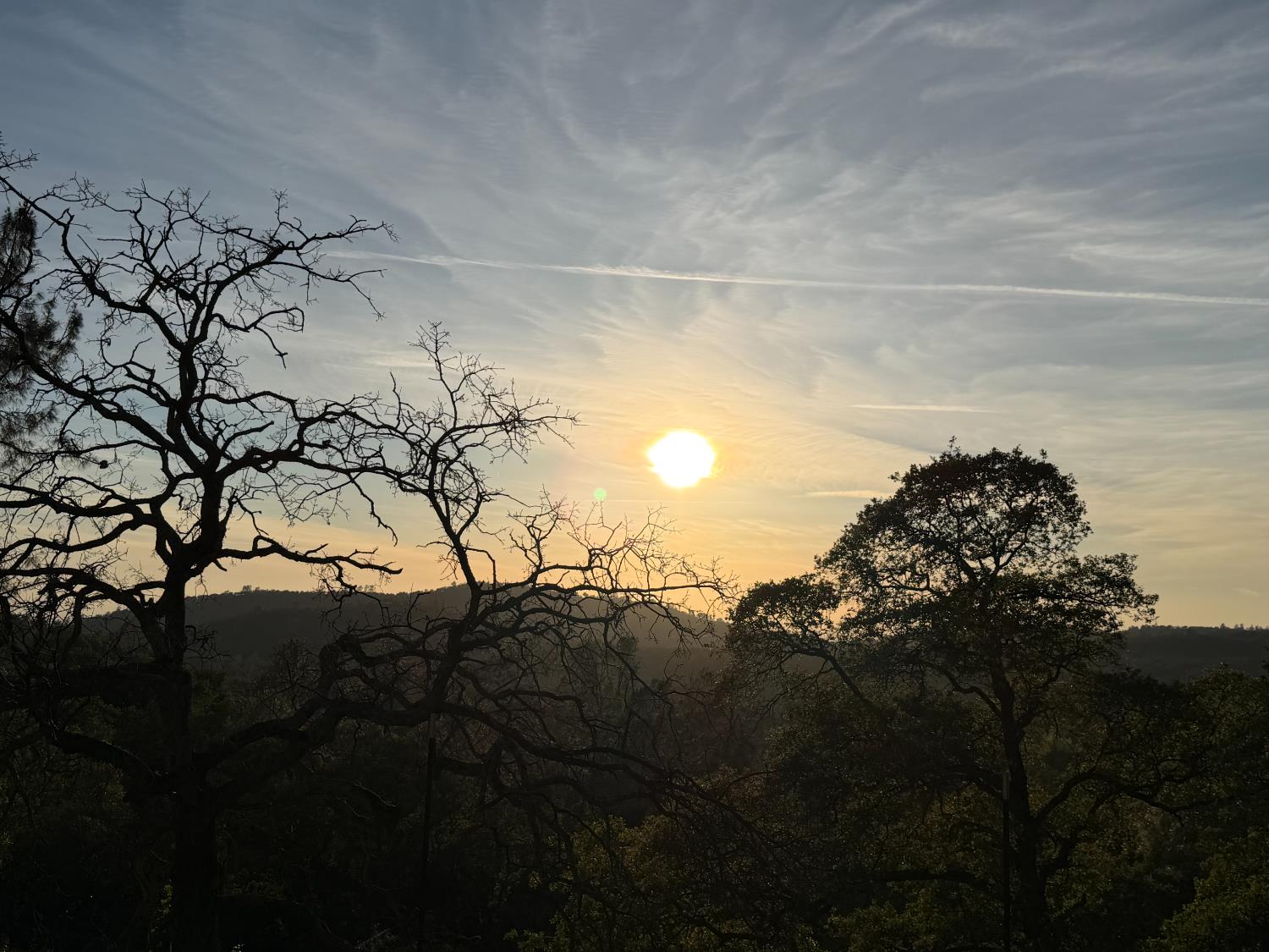 23021 Saint Helena Drive