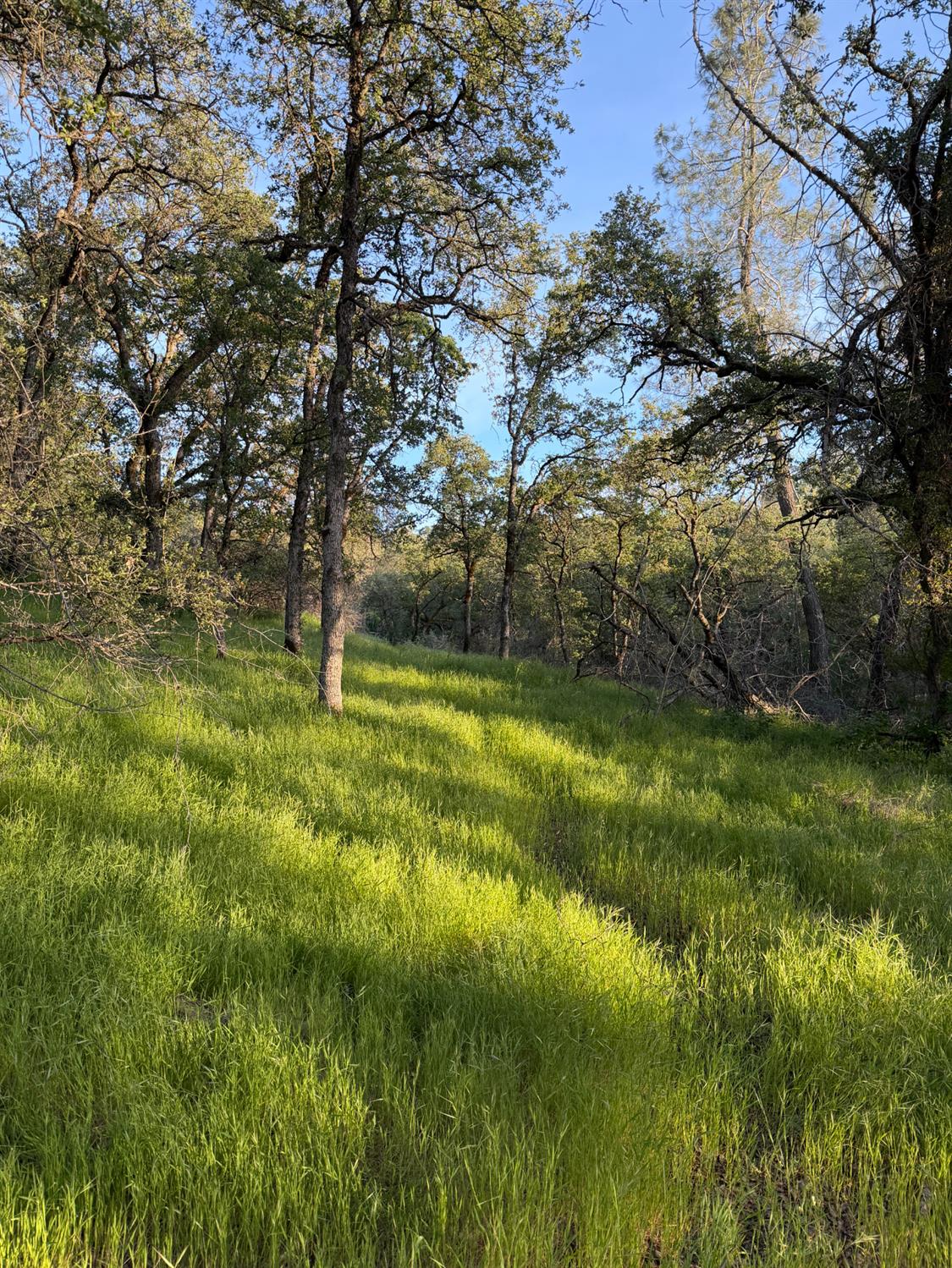 23021 Saint Helena Drive