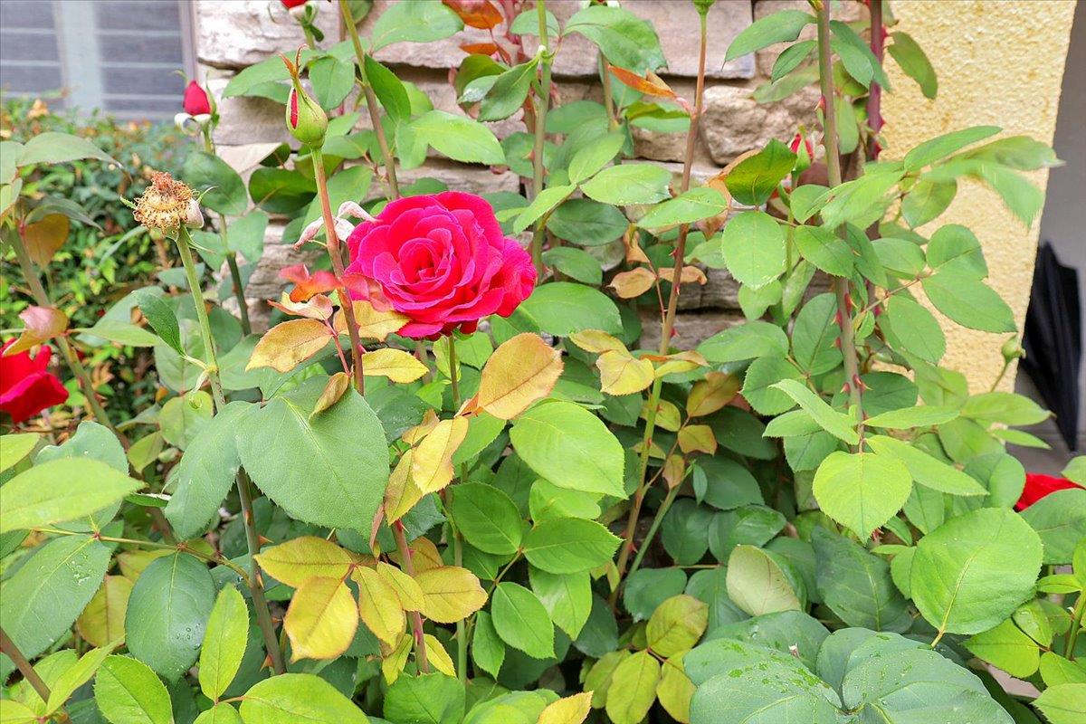 10022 Spring View Way